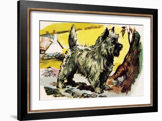 Cairn Terrier-English School-Framed Giclee Print