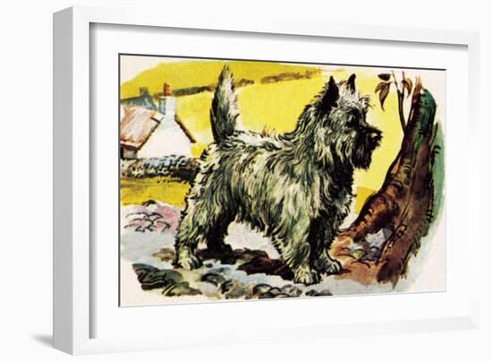 Cairn Terrier-English School-Framed Giclee Print