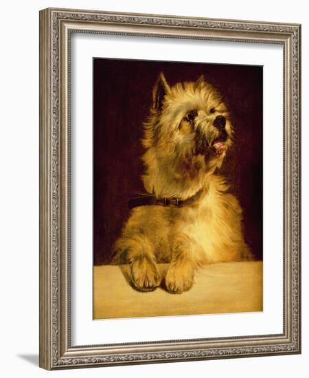 Cairn Terrier-George Earl-Framed Giclee Print