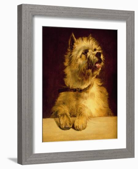 Cairn Terrier-George Earl-Framed Giclee Print