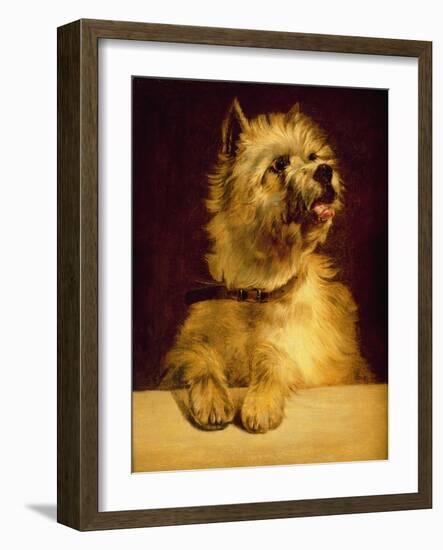 Cairn Terrier-George Earl-Framed Giclee Print