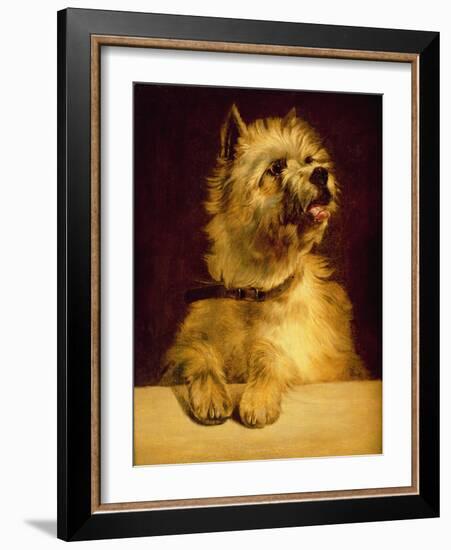 Cairn Terrier-George Earl-Framed Giclee Print