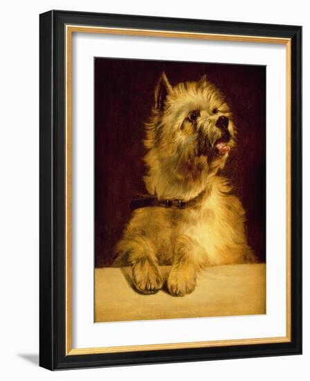 Cairn Terrier-George Earl-Framed Giclee Print