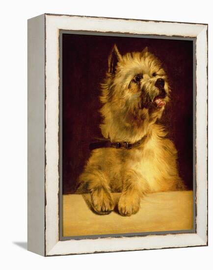 Cairn Terrier-George Earl-Framed Premier Image Canvas