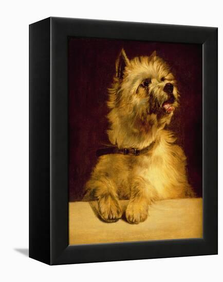 Cairn Terrier-George Earl-Framed Premier Image Canvas