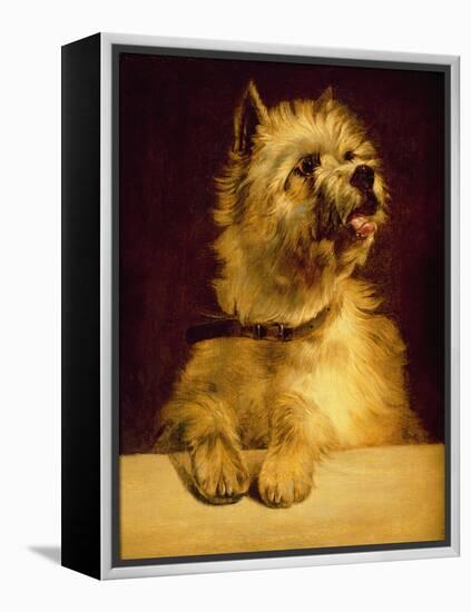 Cairn Terrier-George Earl-Framed Premier Image Canvas