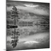 Cairngorm Reflection-Doug Chinnery-Mounted Photographic Print