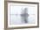 Cairngorm Stillness-Doug Chinnery-Framed Photographic Print