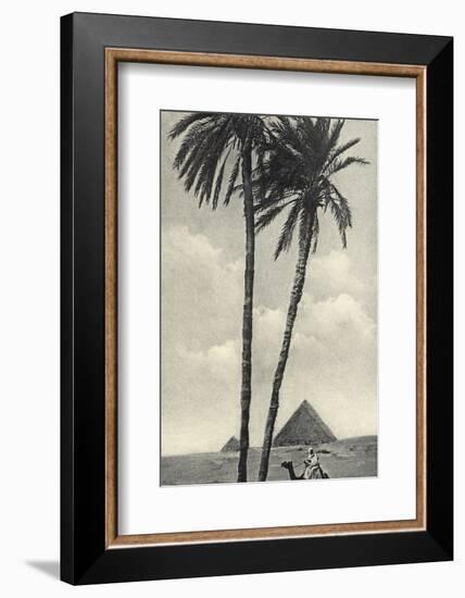 Cairo IV Crop-Wild Apple Portfolio-Framed Photographic Print