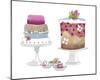 Cake Party-Sandra Jacobs-Mounted Giclee Print