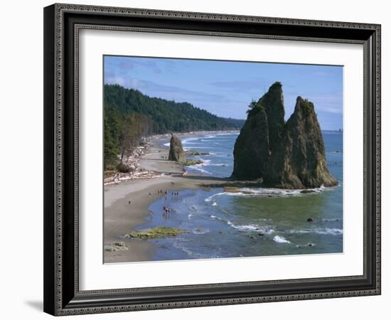 Cake Rock on Rialto Beach, Olympic National Park, UNESCO World Heritage Site, Washington State, USA-Waltham Tony-Framed Photographic Print