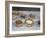 Cakes; Gateaux-Gustave Caillebotte-Framed Giclee Print