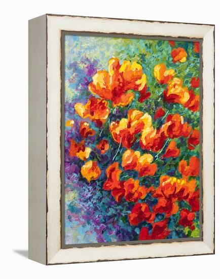 Cal Poppies-Marion Rose-Framed Premier Image Canvas