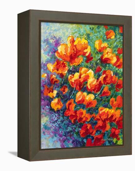 Cal Poppies-Marion Rose-Framed Premier Image Canvas