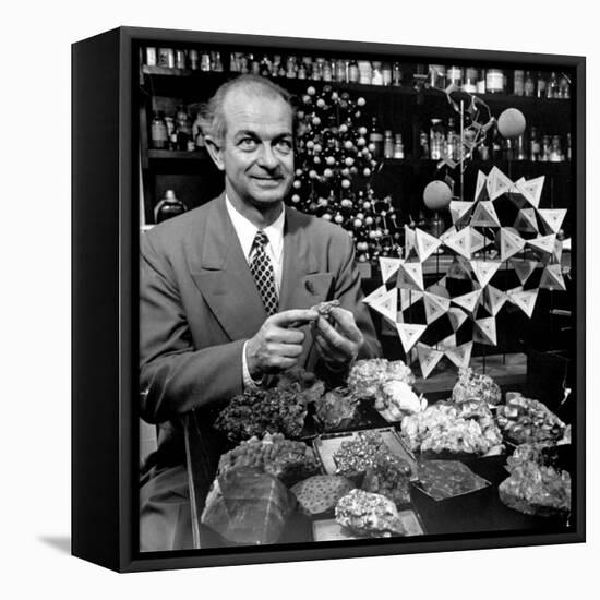 Cal. Tech Chemistry Professor, Dr. Linus Pauling with His Mineral Collection-J^ R^ Eyerman-Framed Premier Image Canvas