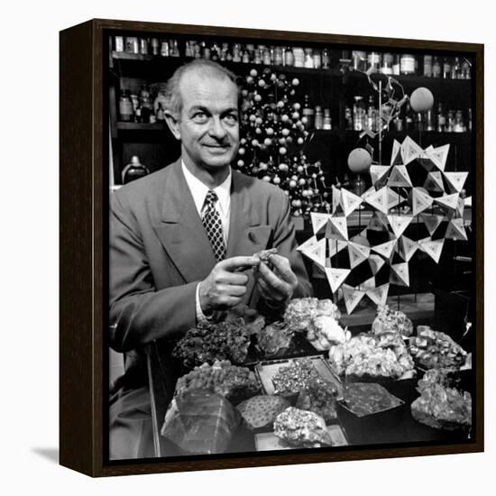 Cal. Tech Chemistry Professor, Dr. Linus Pauling with His Mineral Collection-J^ R^ Eyerman-Framed Premier Image Canvas