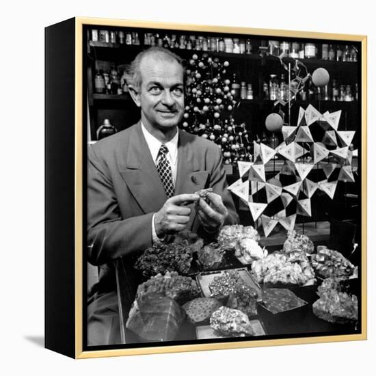 Cal. Tech Chemistry Professor, Dr. Linus Pauling with His Mineral Collection-J^ R^ Eyerman-Framed Premier Image Canvas