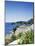 Cala Fornella, Majorca, Balearic Islands, Spain, Mediterranean-L Bond-Mounted Photographic Print