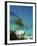 Cala Goloritze, Golfo Di Orosei, Parco Nazionale Del Gennargentu E Golfo Di Goloritze, Sardinia, It-Katja Kreder-Framed Photographic Print