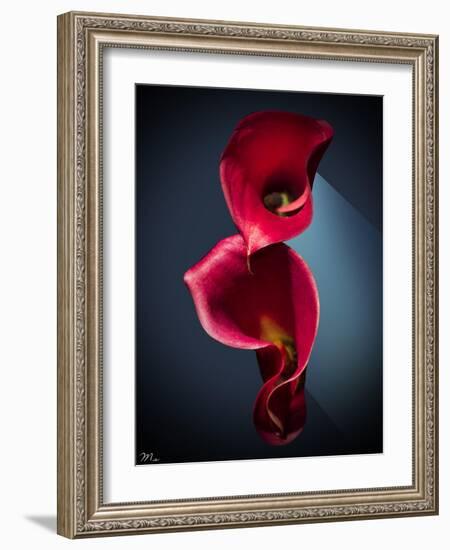 Cala Lilies 2-Mark Ashkenazi-Framed Giclee Print