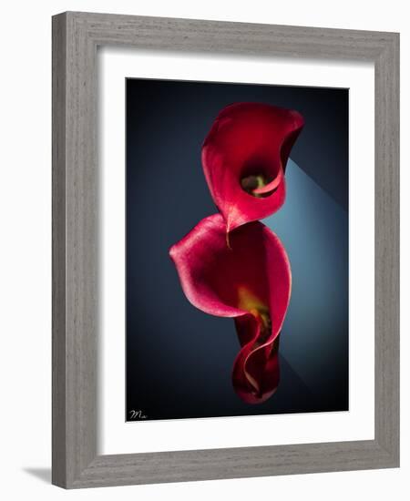 Cala Lilies 2-Mark Ashkenazi-Framed Giclee Print