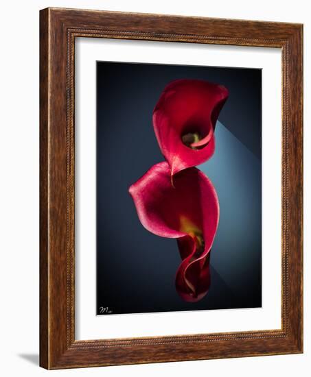 Cala Lilies 2-Mark Ashkenazi-Framed Giclee Print