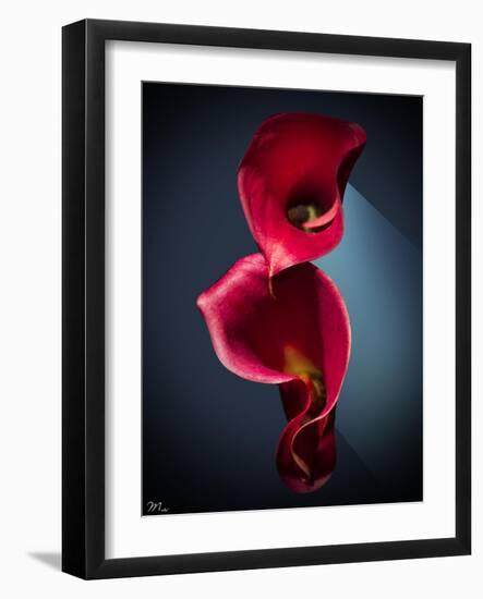 Cala Lilies 2-Mark Ashkenazi-Framed Giclee Print