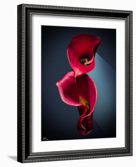 Cala Lilies 2-Mark Ashkenazi-Framed Giclee Print