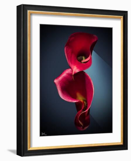 Cala Lilies 2-Mark Ashkenazi-Framed Giclee Print