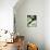 Cala Lilies, Big Sur, California, USA-Jerry Ginsberg-Photographic Print displayed on a wall