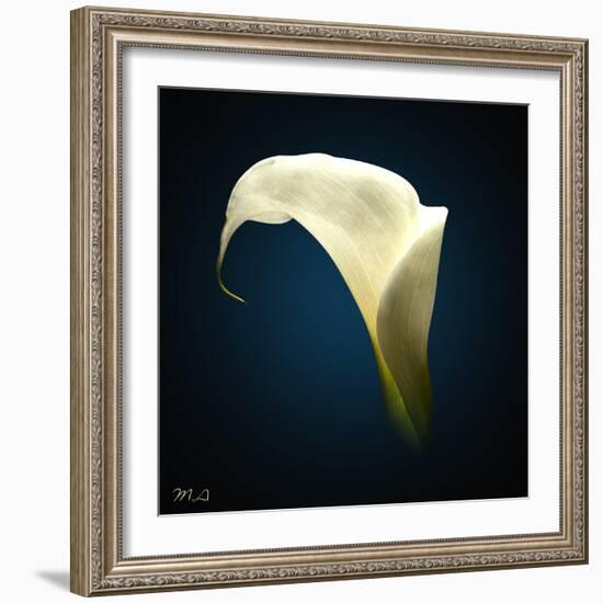 Cala Lily 1-Mark Ashkenazi-Framed Giclee Print