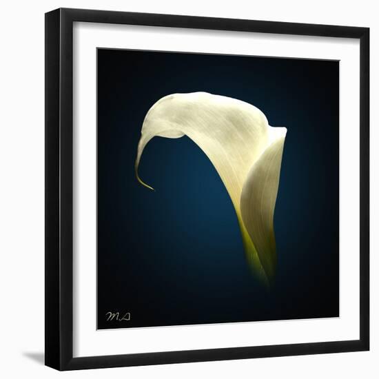 Cala Lily 1-Mark Ashkenazi-Framed Giclee Print