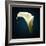 Cala Lily 1-Mark Ashkenazi-Framed Giclee Print