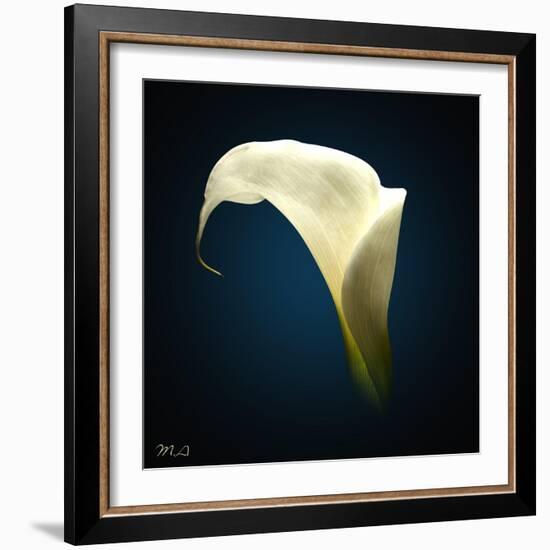 Cala Lily 1-Mark Ashkenazi-Framed Giclee Print