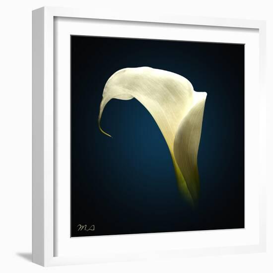 Cala Lily 1-Mark Ashkenazi-Framed Giclee Print