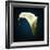 Cala Lily 1-Mark Ashkenazi-Framed Giclee Print