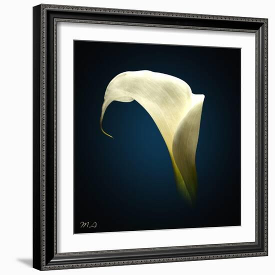 Cala Lily 1-Mark Ashkenazi-Framed Giclee Print