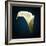 Cala Lily 1-Mark Ashkenazi-Framed Giclee Print