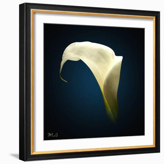 Cala Lily 1-Mark Ashkenazi-Framed Giclee Print