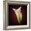 Cala Lily 2-Mark Ashkenazi-Framed Giclee Print