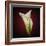 Cala Lily 2-Mark Ashkenazi-Framed Giclee Print