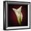 Cala Lily 2-Mark Ashkenazi-Framed Giclee Print