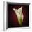 Cala Lily 2-Mark Ashkenazi-Framed Giclee Print