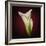 Cala Lily 2-Mark Ashkenazi-Framed Giclee Print