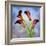 Cala Lily 6-Mark Ashkenazi-Framed Giclee Print