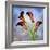 Cala Lily 6-Mark Ashkenazi-Framed Giclee Print