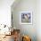 Cala Lily 6-Mark Ashkenazi-Framed Giclee Print displayed on a wall