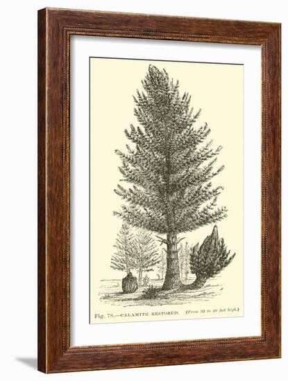 Calamite Restored-null-Framed Giclee Print