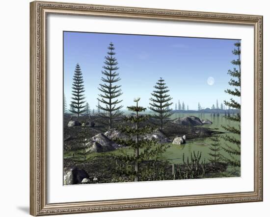 Calamites and Drepanophycus Populate Lowlands Near the Brackish Waters of an Inland Sea-Stocktrek Images-Framed Photographic Print