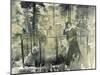 Calamity Jane At Wild Bill Hickok's Grave, 1903-Science Source-Mounted Giclee Print